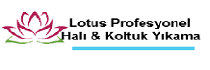 Lotus Profeyonel Halı & Koltuk Yıkama